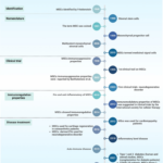 stem cell therapy timeline
