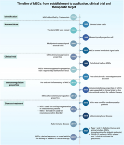 stem cell therapy timeline